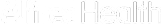 logo partner