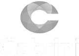 logo partner